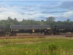 CBTX 741087